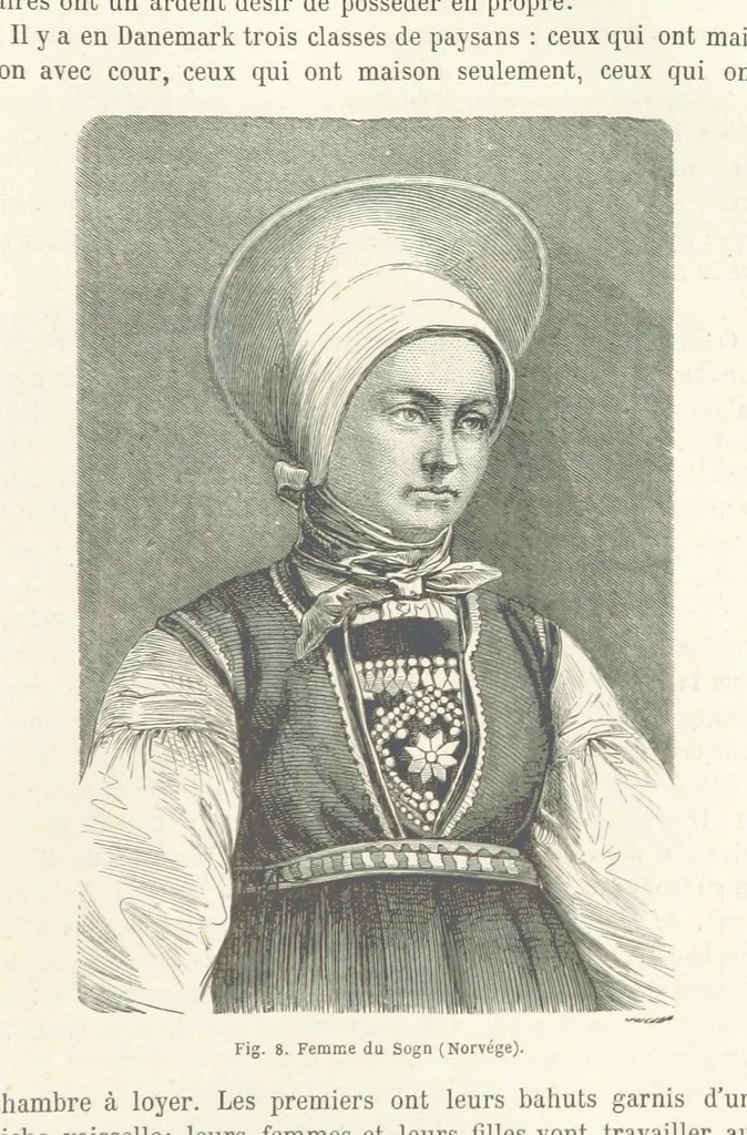 An illustration from Les Races Humaines ... Ouvrage illustré de 334 gravures dessinées sur bois, et de 8 chromo-lithographies, etc, 1872, leaf 59