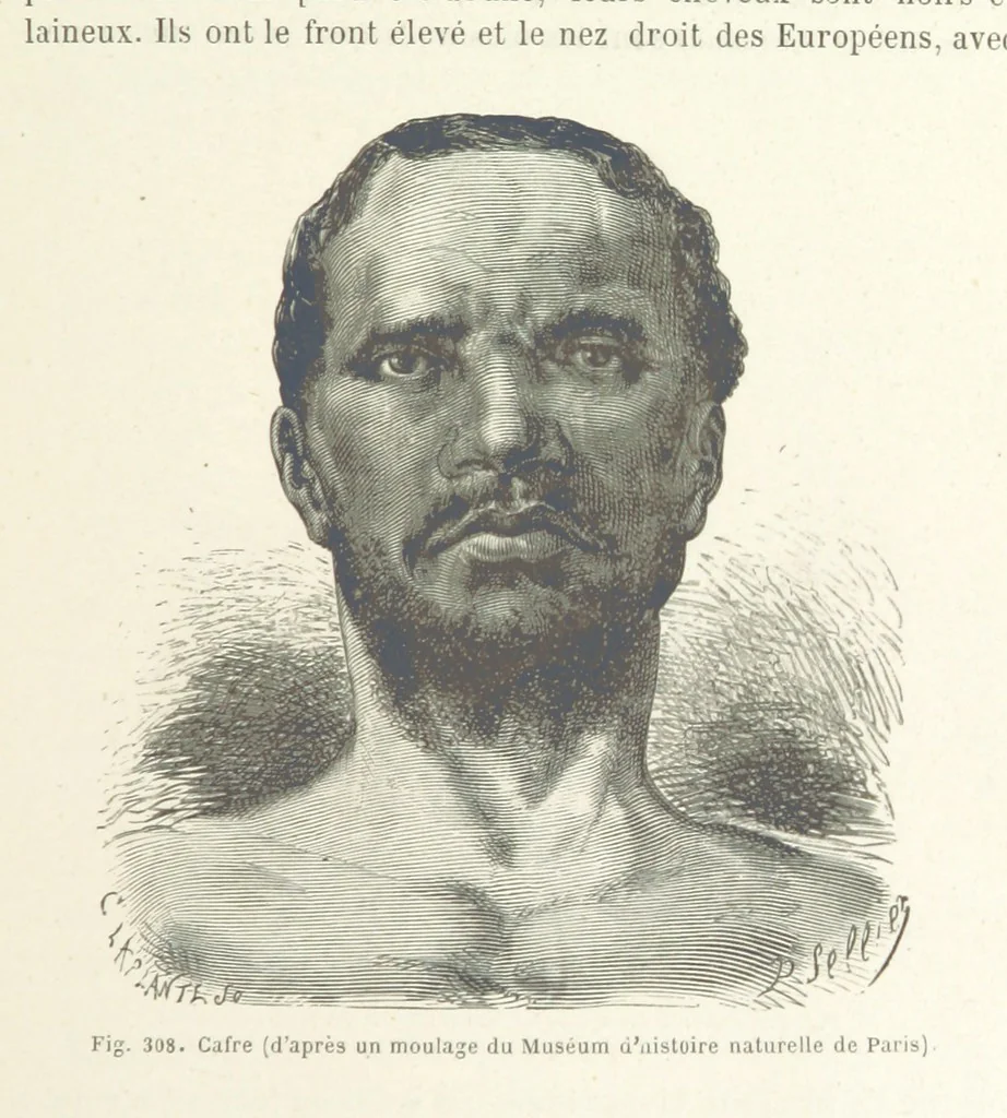 An illustration from Les Races Humaines ... Ouvrage illustré de 334 gravures dessinées sur bois, et de 8 chromo-lithographies, etc, 1872, leaf 605