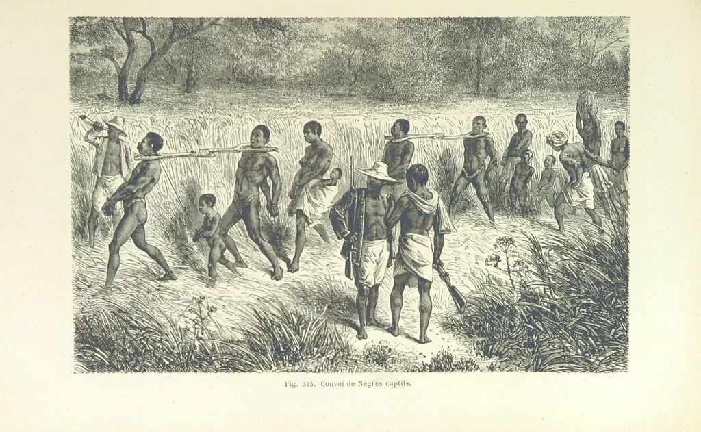 An illustration from Les Races Humaines ... Ouvrage illustré de 334 gravures dessinées sur bois, et de 8 chromo-lithographies, etc, 1872, leaf 621