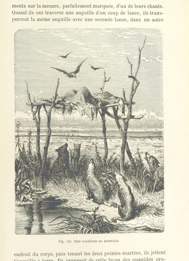 An illustration from Les Races Humaines ... Ouvrage illustré de 334 gravures dessinées sur bois, et de 8 chromo-lithographies, etc, 1872, leaf 659