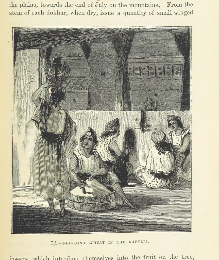 An illustration from The Human Race, ... illustrated by ... engravings on wood, and ... chromolithographs, 1872, leaf 199
