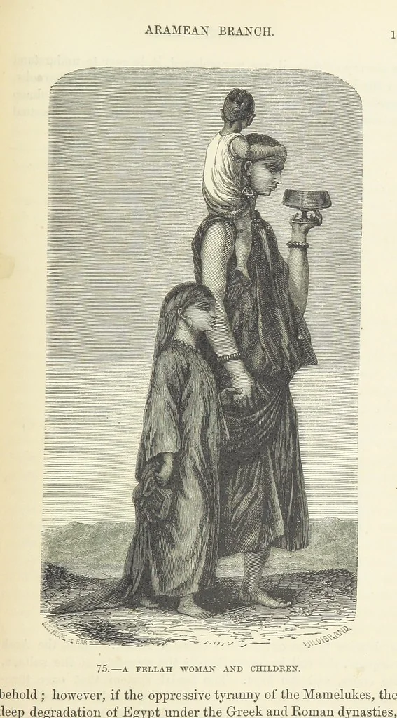 An illustration from The Human Race, ... illustrated by ... engravings on wood, and ... chromolithographs, 1872, leaf 207