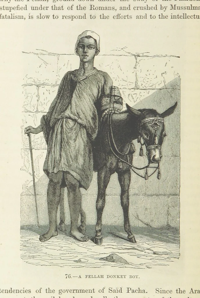 An illustration from The Human Race, ... illustrated by ... engravings on wood, and ... chromolithographs, 1872, leaf 208