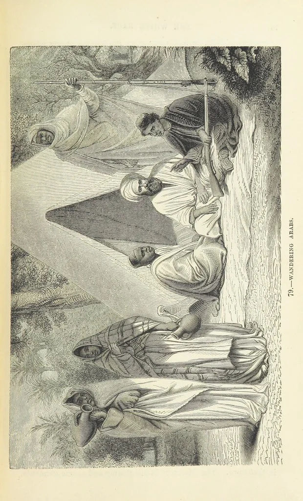 An illustration from The Human Race, ... illustrated by ... engravings on wood, and ... chromolithographs, 1872, leaf 215