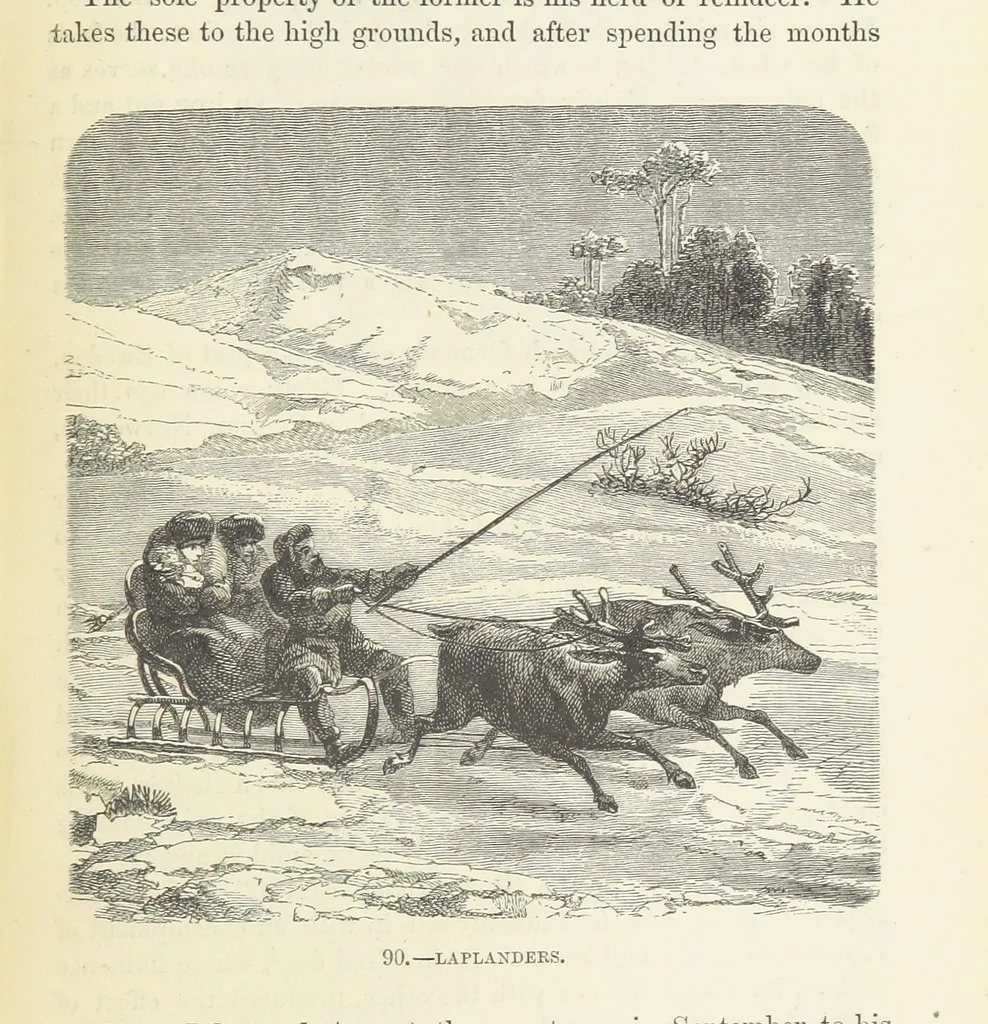 An illustration from The Human Race, ... illustrated by ... engravings on wood, and ... chromolithographs, 1872, leaf 237