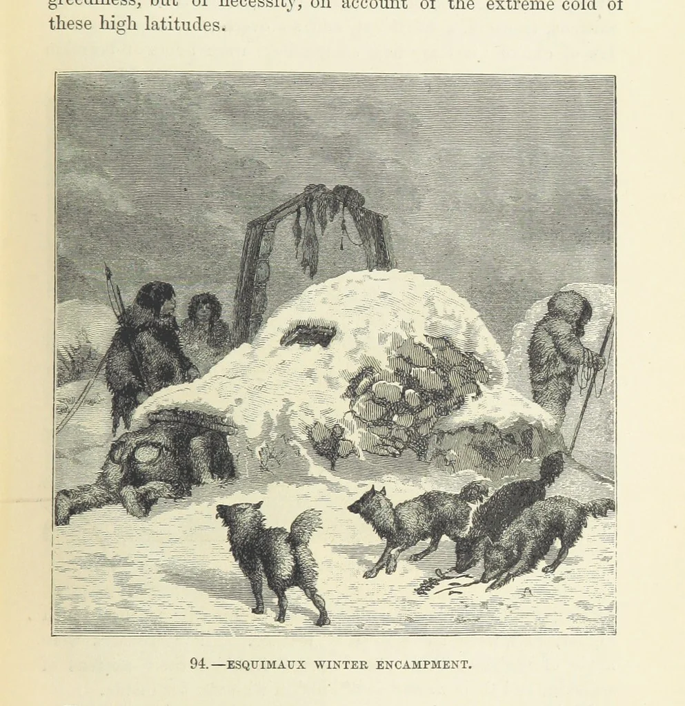 An illustration from The Human Race, ... illustrated by ... engravings on wood, and ... chromolithographs, 1872, leaf 243