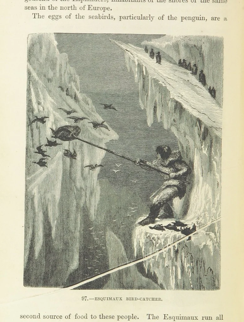An illustration from The Human Race, ... illustrated by ... engravings on wood, and ... chromolithographs, 1872, leaf 246