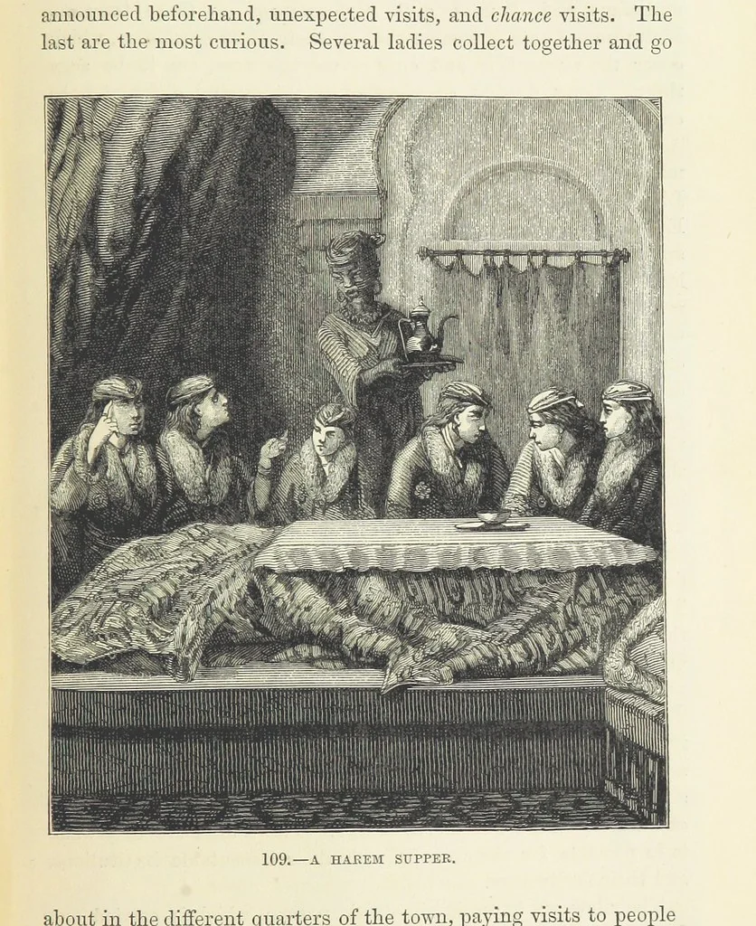 An illustration from The Human Race, ... illustrated by ... engravings on wood, and ... chromolithographs, 1872, leaf 275