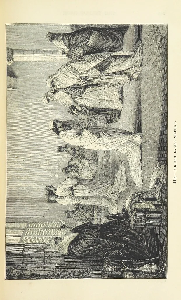 An illustration from The Human Race, ... illustrated by ... engravings on wood, and ... chromolithographs, 1872, leaf 277