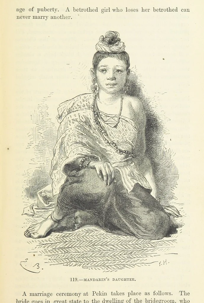 An illustration from The Human Race, ... illustrated by ... engravings on wood, and ... chromolithographs, 1872, leaf 293