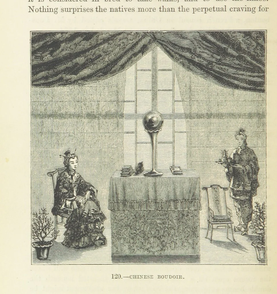 An illustration from The Human Race, ... illustrated by ... engravings on wood, and ... chromolithographs, 1872, leaf 296