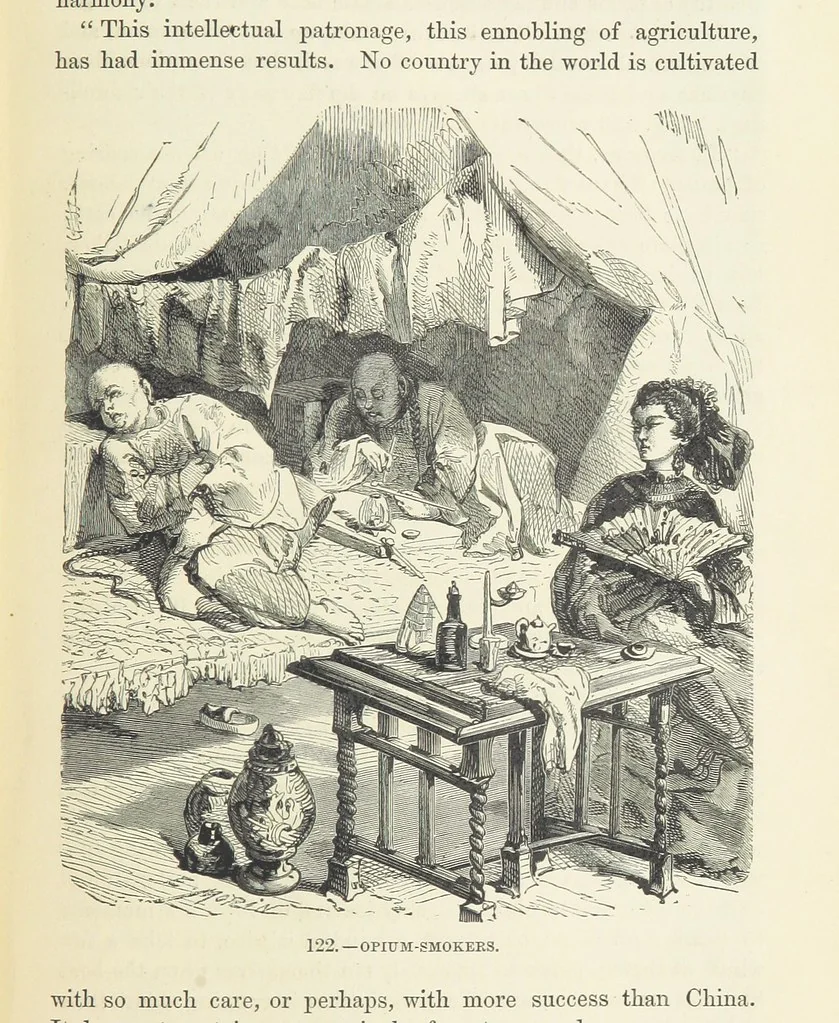 An illustration from The Human Race, ... illustrated by ... engravings on wood, and ... chromolithographs, 1872, leaf 303