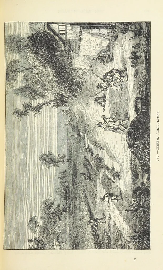 An illustration from The Human Race, ... illustrated by ... engravings on wood, and ... chromolithographs, 1872, leaf 305