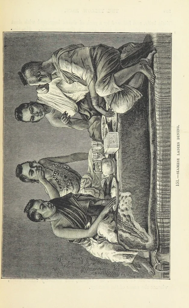 An illustration from The Human Race, ... illustrated by ... engravings on wood, and ... chromolithographs, 1872, leaf 363
