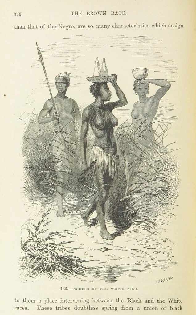 An illustration from The Human Race, ... illustrated by ... engravings on wood, and ... chromolithographs, 1872, leaf 390