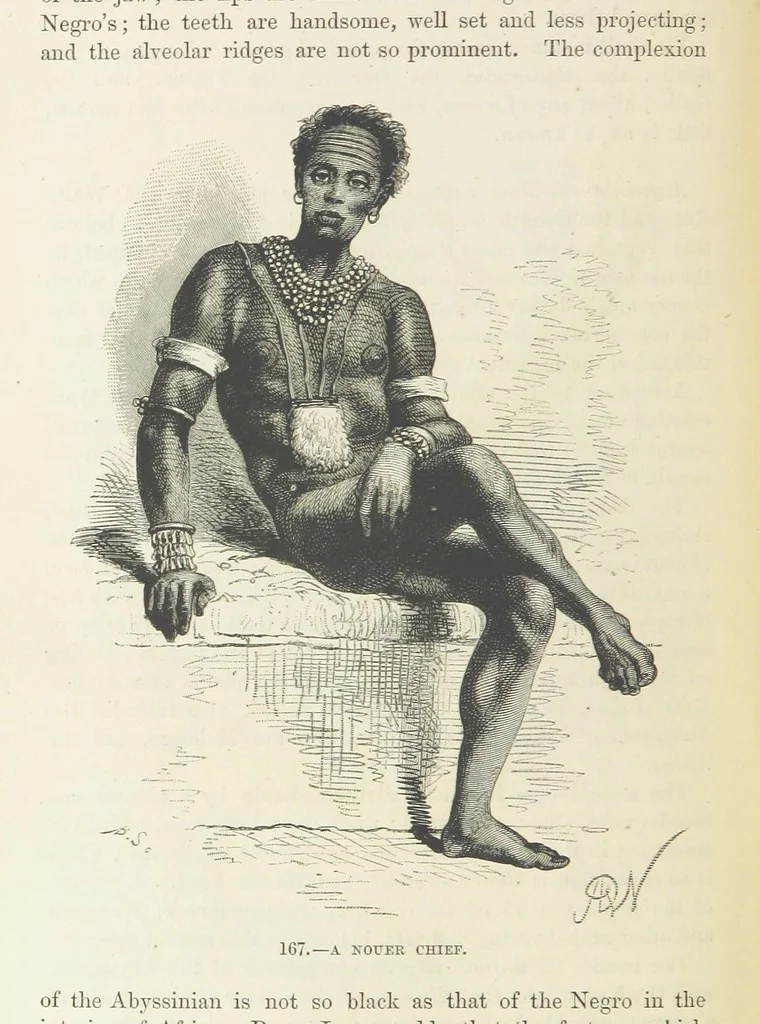 An illustration from The Human Race, ... illustrated by ... engravings on wood, and ... chromolithographs, 1872, leaf 392