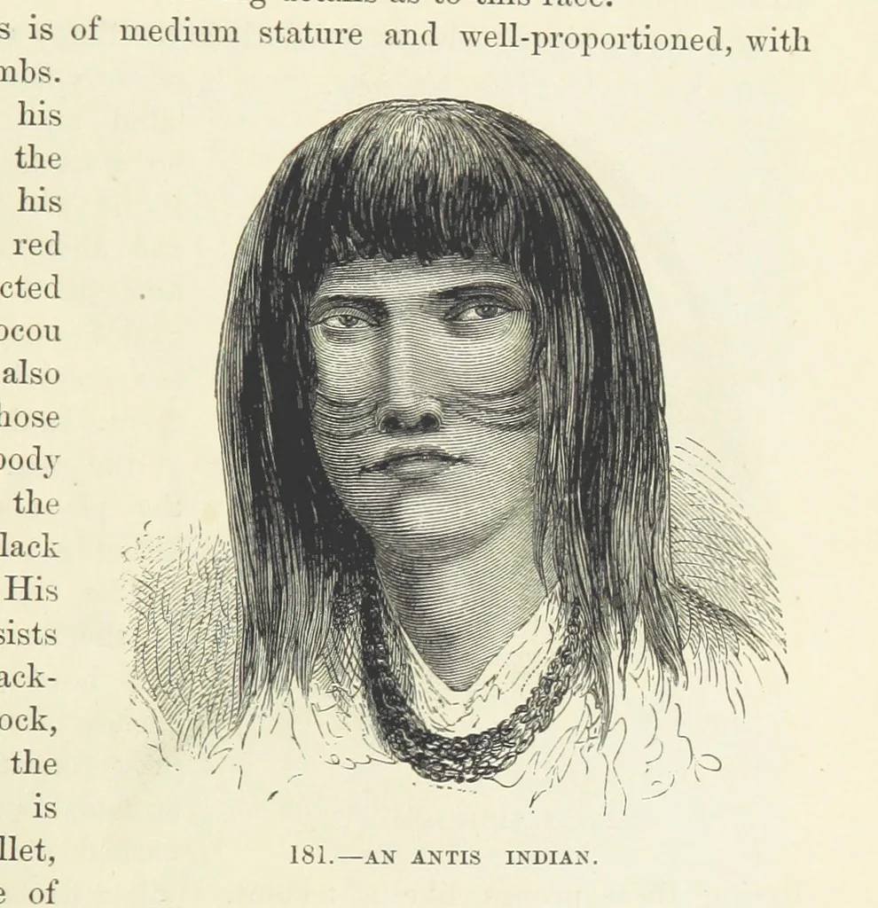 An illustration from The Human Race, ... illustrated by ... engravings on wood, and ... chromolithographs, 1872, leaf 449