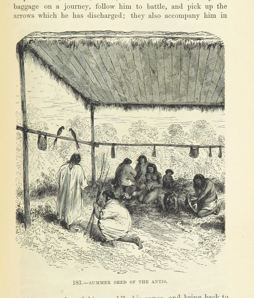 An illustration from The Human Race, ... illustrated by ... engravings on wood, and ... chromolithographs, 1872, leaf 451
