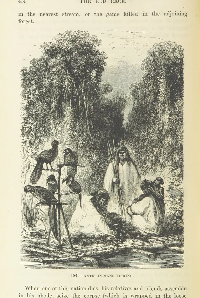 An illustration from The Human Race, ... illustrated by ... engravings on wood, and ... chromolithographs, 1872, leaf 452