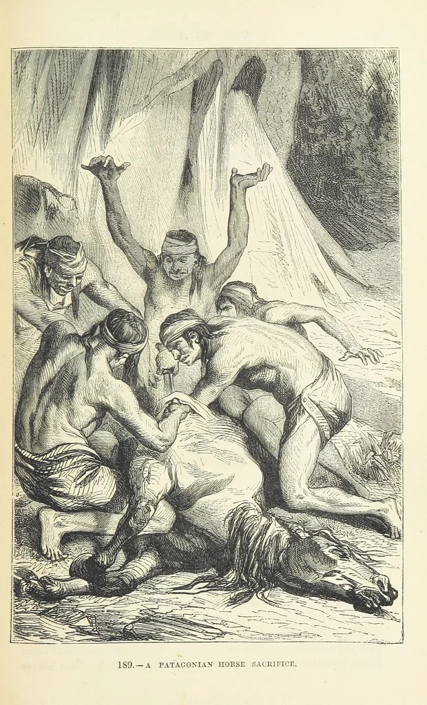 An illustration from The Human Race, ... illustrated by ... engravings on wood, and ... chromolithographs, 1872, leaf 461