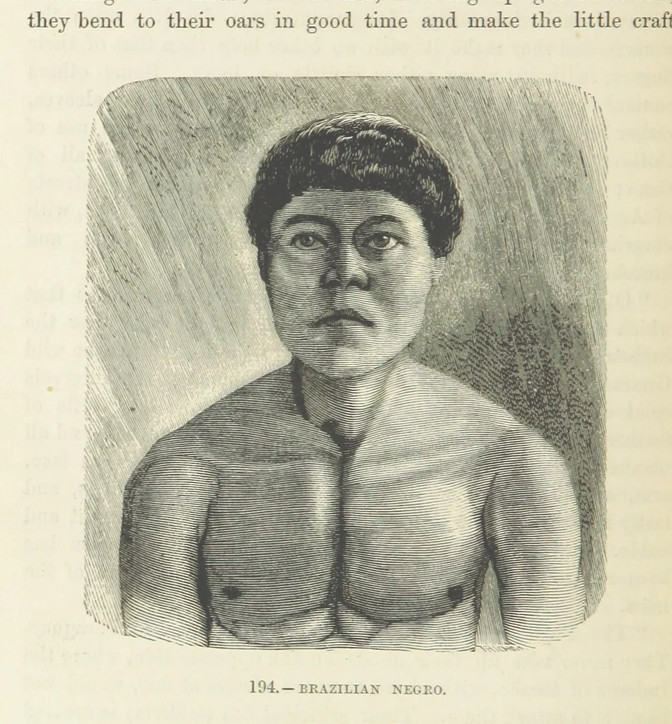 An illustration from The Human Race, ... illustrated by ... engravings on wood, and ... chromolithographs, 1872, leaf 478
