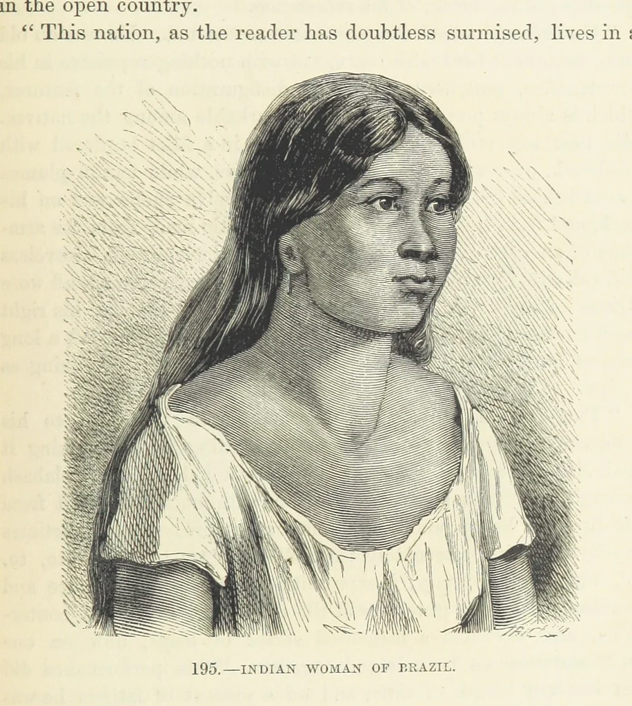 An illustration from The Human Race, ... illustrated by ... engravings on wood, and ... chromolithographs, 1872, leaf 479