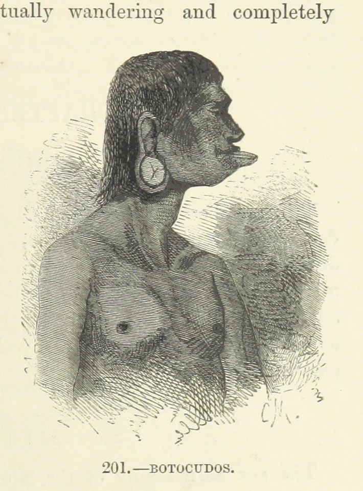 An illustration from The Human Race, ... illustrated by ... engravings on wood, and ... chromolithographs, 1872, leaf 489