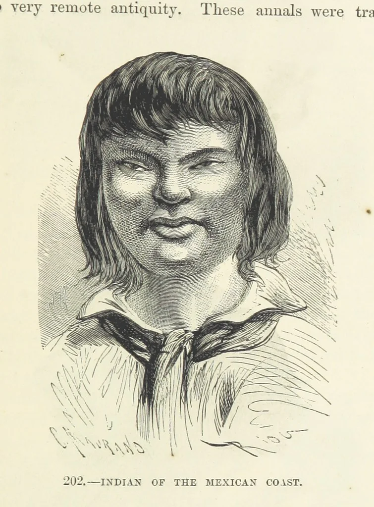An illustration from The Human Race, ... illustrated by ... engravings on wood, and ... chromolithographs, 1872, leaf 491