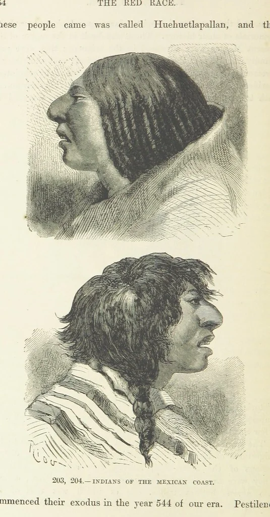 An illustration from The Human Race, ... illustrated by ... engravings on wood, and ... chromolithographs, 1872, leaf 492