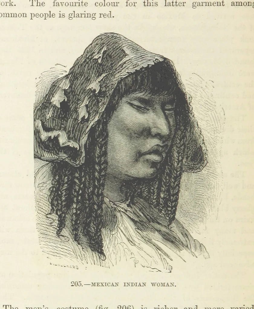 An illustration from The Human Race, ... illustrated by ... engravings on wood, and ... chromolithographs, 1872, leaf 494