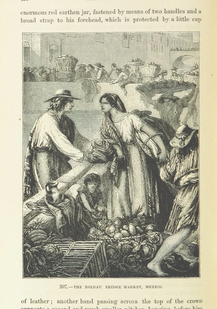An illustration from The Human Race, ... illustrated by ... engravings on wood, and ... chromolithographs, 1872, leaf 496