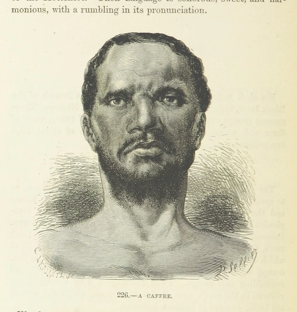 An illustration from The Human Race, ... illustrated by ... engravings on wood, and ... chromolithographs, 1872, leaf 534