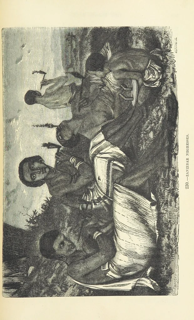 An illustration from The Human Race, ... illustrated by ... engravings on wood, and ... chromolithographs, 1872, leaf 545
