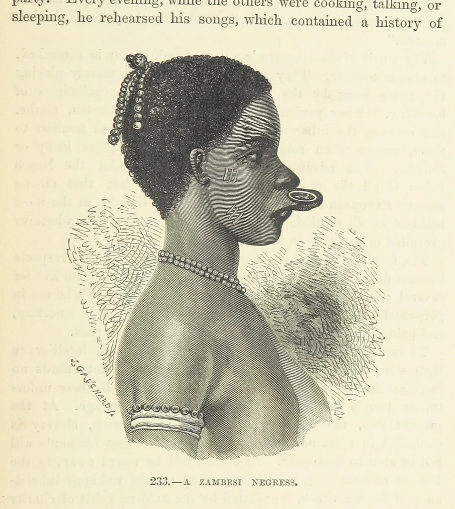 An illustration from The Human Race, ... illustrated by ... engravings on wood, and ... chromolithographs, 1872, leaf 553