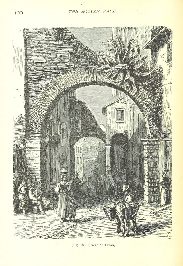 An illustration from The Human Race, ... illustrated by ... engravings on wood, and ... chromolithographs, 1875, leaf 114
