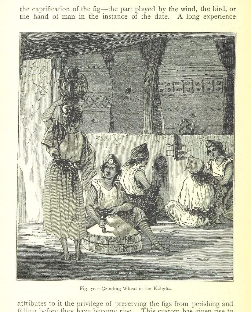 An illustration from The Human Race, ... illustrated by ... engravings on wood, and ... chromolithographs, 1875, leaf 206