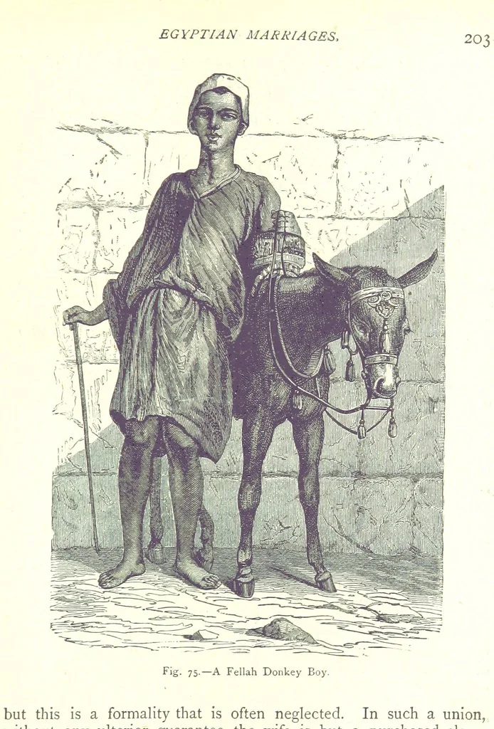 An illustration from The Human Race, ... illustrated by ... engravings on wood, and ... chromolithographs, 1875, leaf 217