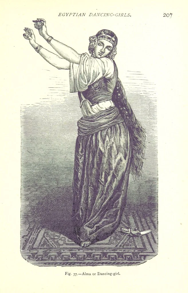 An illustration from The Human Race, ... illustrated by ... engravings on wood, and ... chromolithographs, 1875, leaf 221