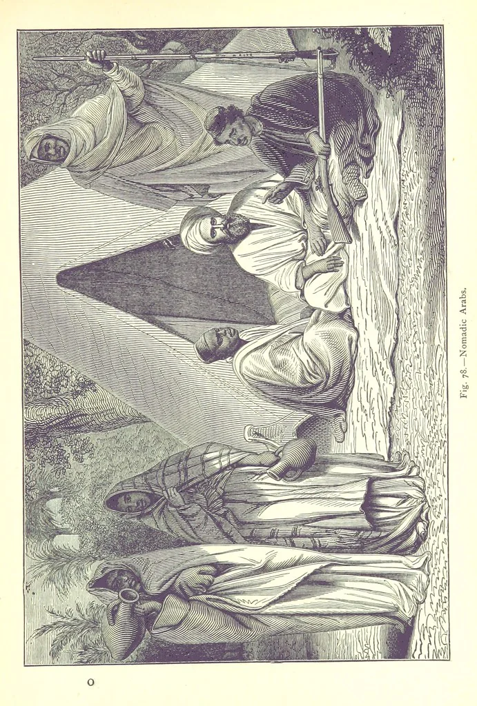 An illustration from The Human Race, ... illustrated by ... engravings on wood, and ... chromolithographs, 1875, leaf 223