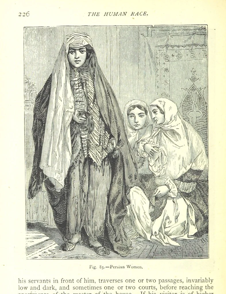 An illustration from The Human Race, ... illustrated by ... engravings on wood, and ... chromolithographs, 1875, leaf 240