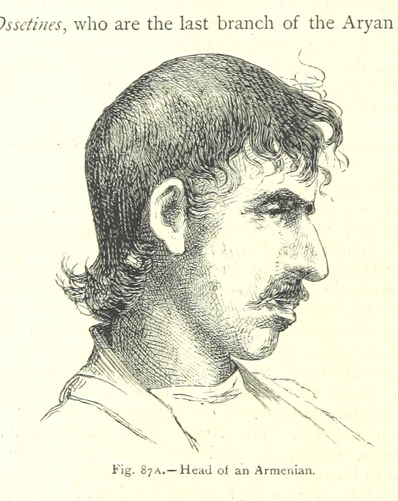 An illustration from The Human Race, ... illustrated by ... engravings on wood, and ... chromolithographs, 1875, leaf 246