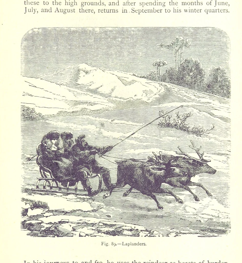 An illustration from The Human Race, ... illustrated by ... engravings on wood, and ... chromolithographs, 1875, leaf 251