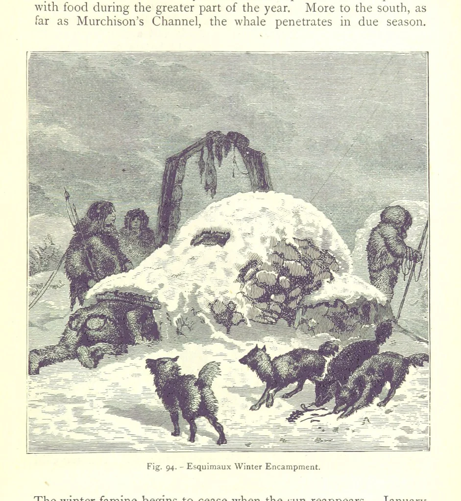 An illustration from The Human Race, ... illustrated by ... engravings on wood, and ... chromolithographs, 1875, leaf 259