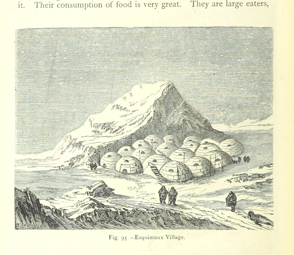 An illustration from The Human Race, ... illustrated by ... engravings on wood, and ... chromolithographs, 1875, leaf 260