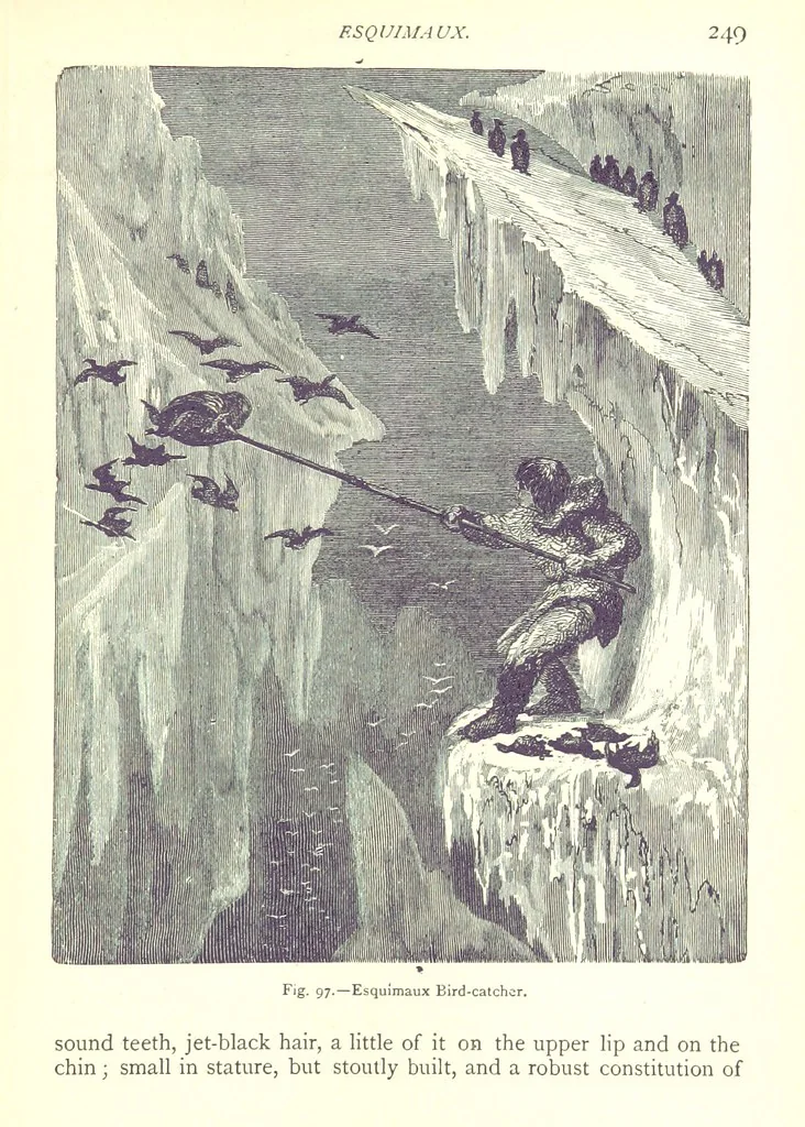 An illustration from The Human Race, ... illustrated by ... engravings on wood, and ... chromolithographs, 1875, leaf 263