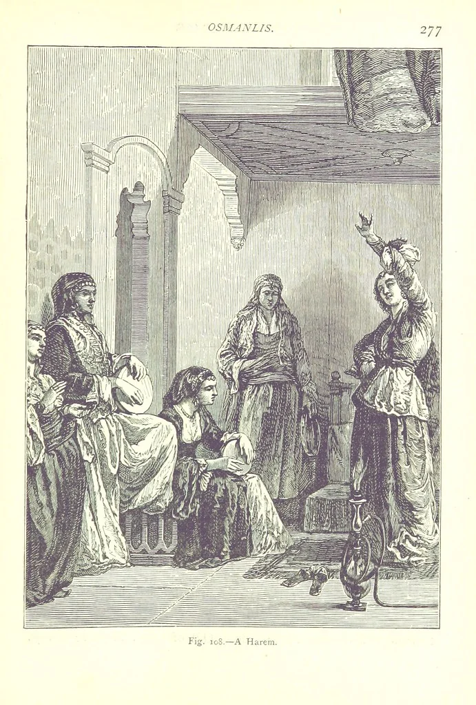An illustration from The Human Race, ... illustrated by ... engravings on wood, and ... chromolithographs, 1875, leaf 291