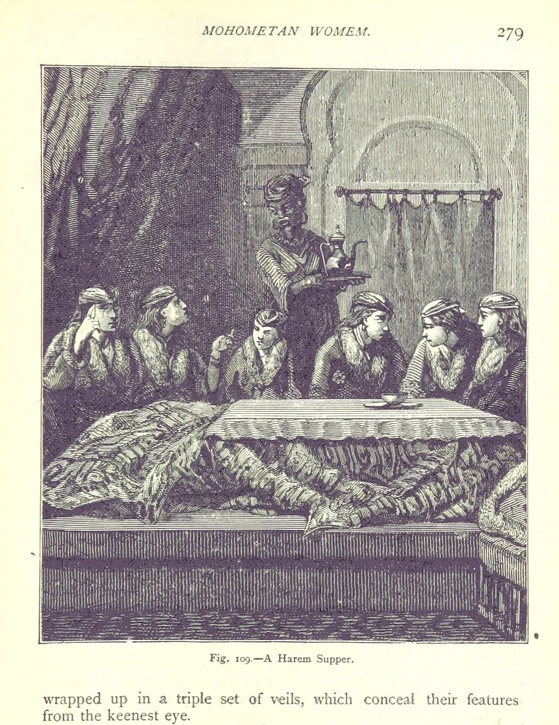 An illustration from The Human Race, ... illustrated by ... engravings on wood, and ... chromolithographs, 1875, leaf 293