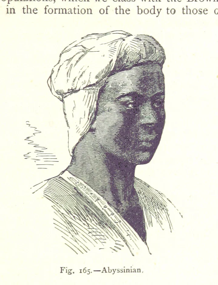 An illustration from The Human Race, ... illustrated by ... engravings on wood, and ... chromolithographs, 1875, leaf 421