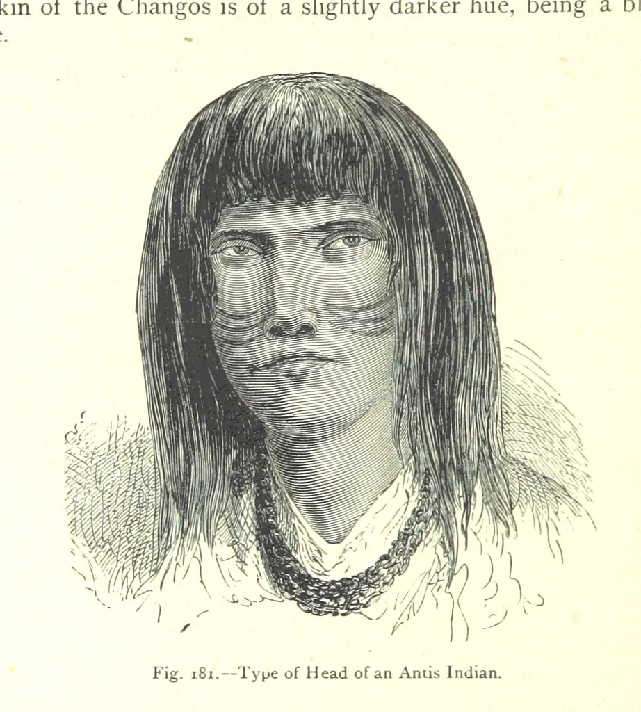 An illustration from The Human Race, ... illustrated by ... engravings on wood, and ... chromolithographs, 1875, leaf 480