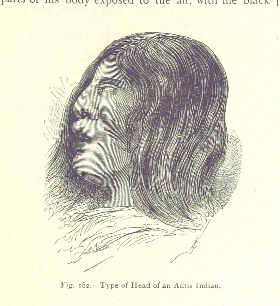An illustration from The Human Race, ... illustrated by ... engravings on wood, and ... chromolithographs, 1875, leaf 481